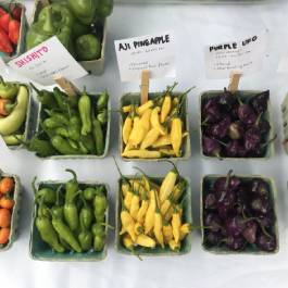 Waco Downtown Farmers Market